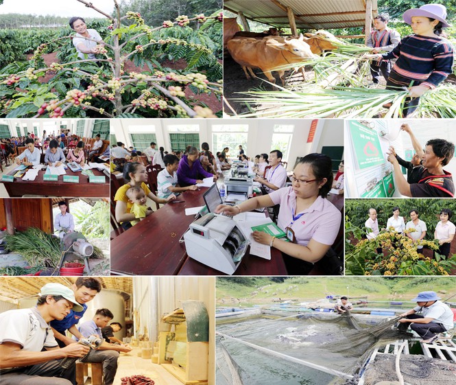 Experience lesson in improving inclusive finance quality - Case study from VBSP