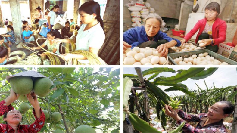 VBSP contributes to financial inclusion application and client protection