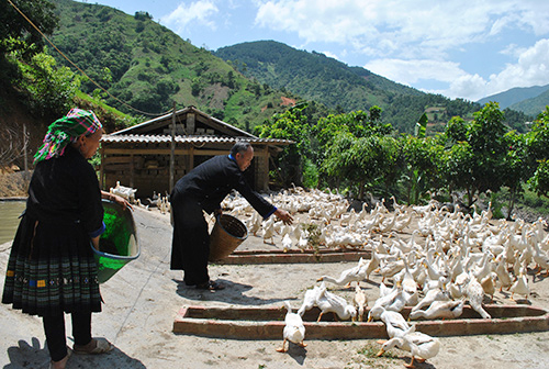 Loan for value chain-based production development support for ethnic minority and mountainous regions