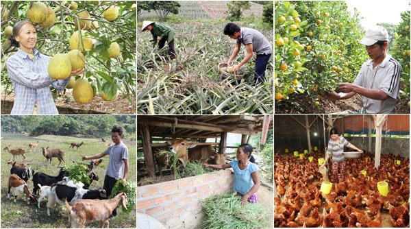 Newsletter Vol 05.2022