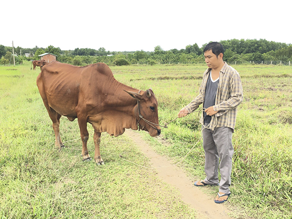 VBSP inclusive finance contributes to sustainable poverty reduction