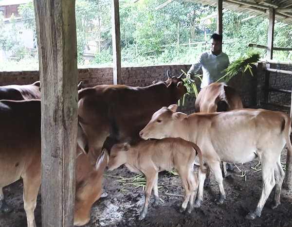 Bringing policy credit closer to local people