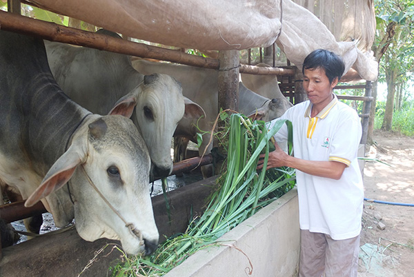 Dong Thap strengthens the Party’s leadership over policy credit