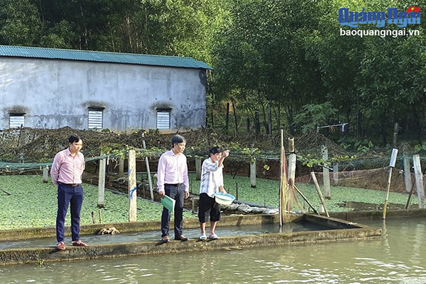 Socio-economic development in Quang Ngai