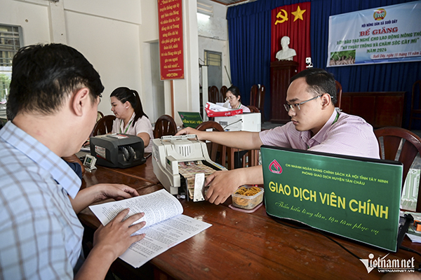 Tay Ninh: Getting out of poverty thanks to policy credit
