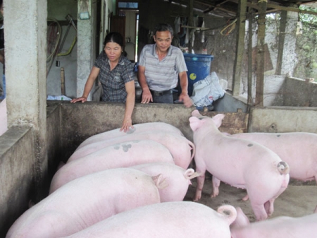 Women getting rich from raising livestock