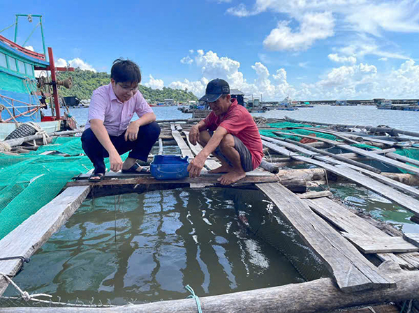 Policy Credit Contributes to the Development of a New An Giang