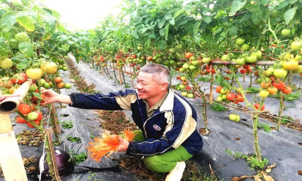 Dien Chau Transforms Thanks to Preferential Credit Funding