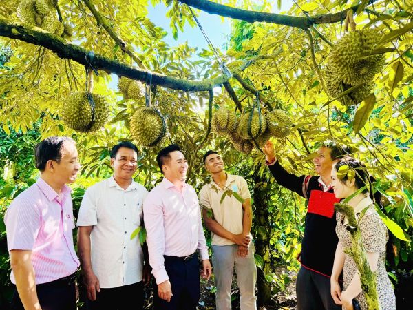 Policy Credit - Empowering Social Security and Sustainable Development in Dak Lak