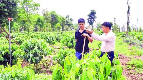 Supporting reintegration and stable livelihoods for rehabilitated individuals