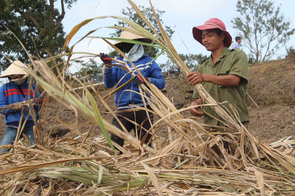 Financial support to the poor households to build house against storm in Phu Yen province