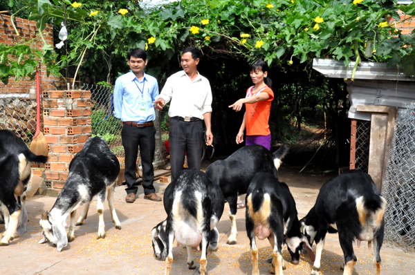 VBSP provide preferential credit for poor households and other disadvantaged groups