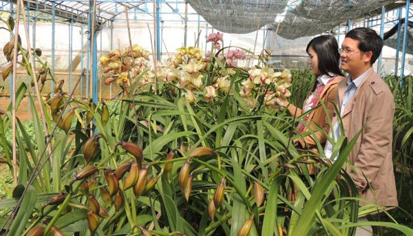 VBSP help ethnic minority access inclusive finance in Kon Plong district