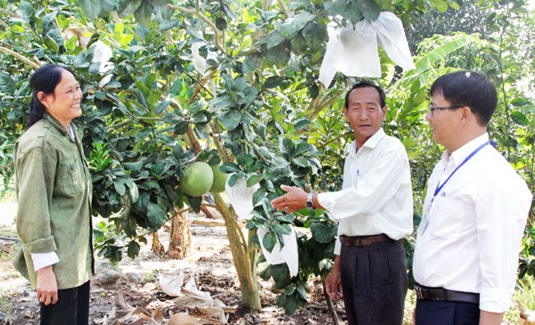 VBSP provides financial inclusion for the poor in Vietnam