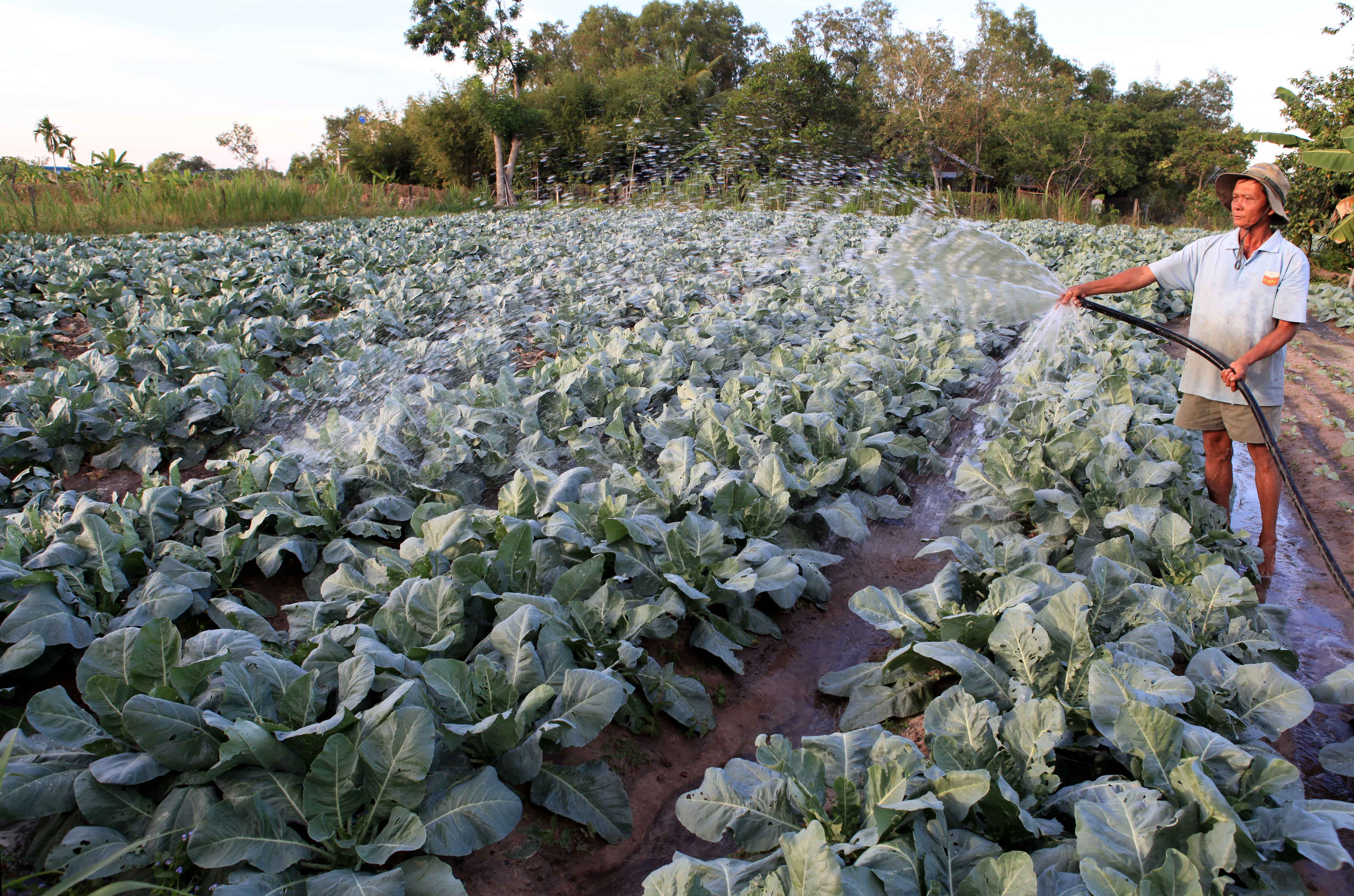 Lending procedures for households who have just lifted from poverty