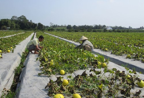 Lift from poverty after accessing financial inclusion