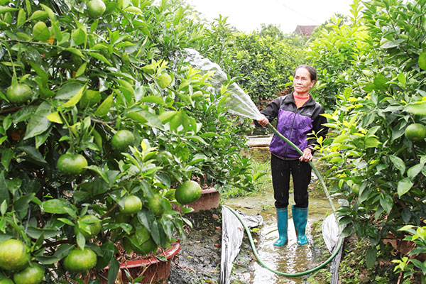 Vietnam Bank for Social Policies - for goal of environment protection and against climate change