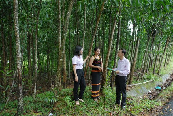 CASE STUDY FROM VBSP: EXPERIENCE SHARING ON PRO-POOR RURAL AND AGRICULTURAL FINANCE IN VIETNAM