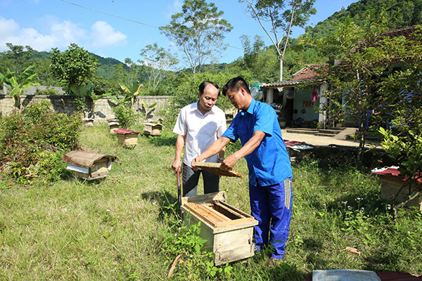 Support start-ups of the Youth in rural areas