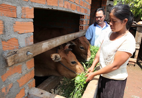 VBSP contribute to moving away illegal loan