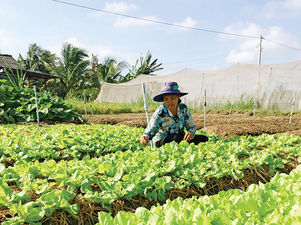 VBSP improve economic empowerment for women