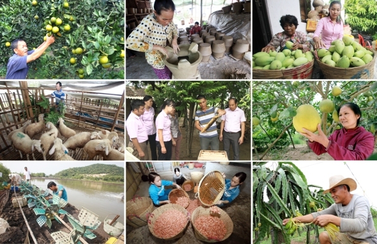 VBSP's inclusive finance review in first six months in 2019