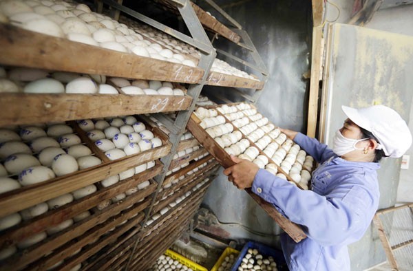 Over 4.3 million women access inclusive financial services from VBSP – Advancing women’s empowerment and gender equality