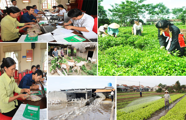 Newsletter Vol 16
