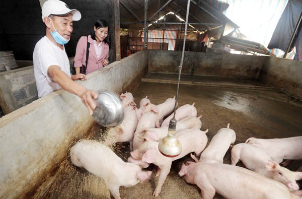 The poor receives VBSP’s support after damage caused by COVID-19