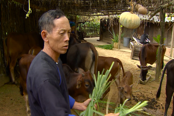 The social policy credit helps people escape from poverty