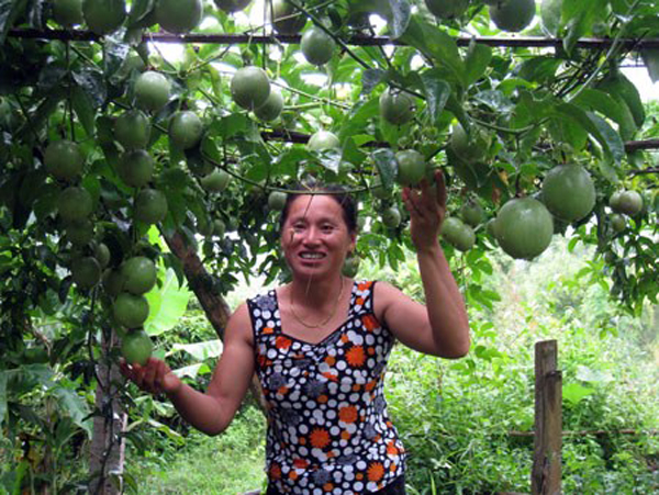 Poverty reduction in Viet – Laos border