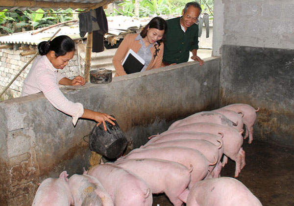 Preferential loans help escape from poverty