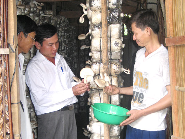 Change life thanks to small credit